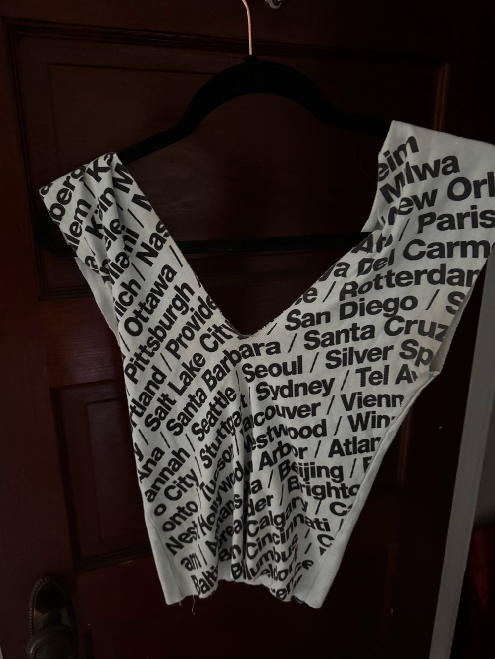 American Apparel Graphic Crop Top | City Print